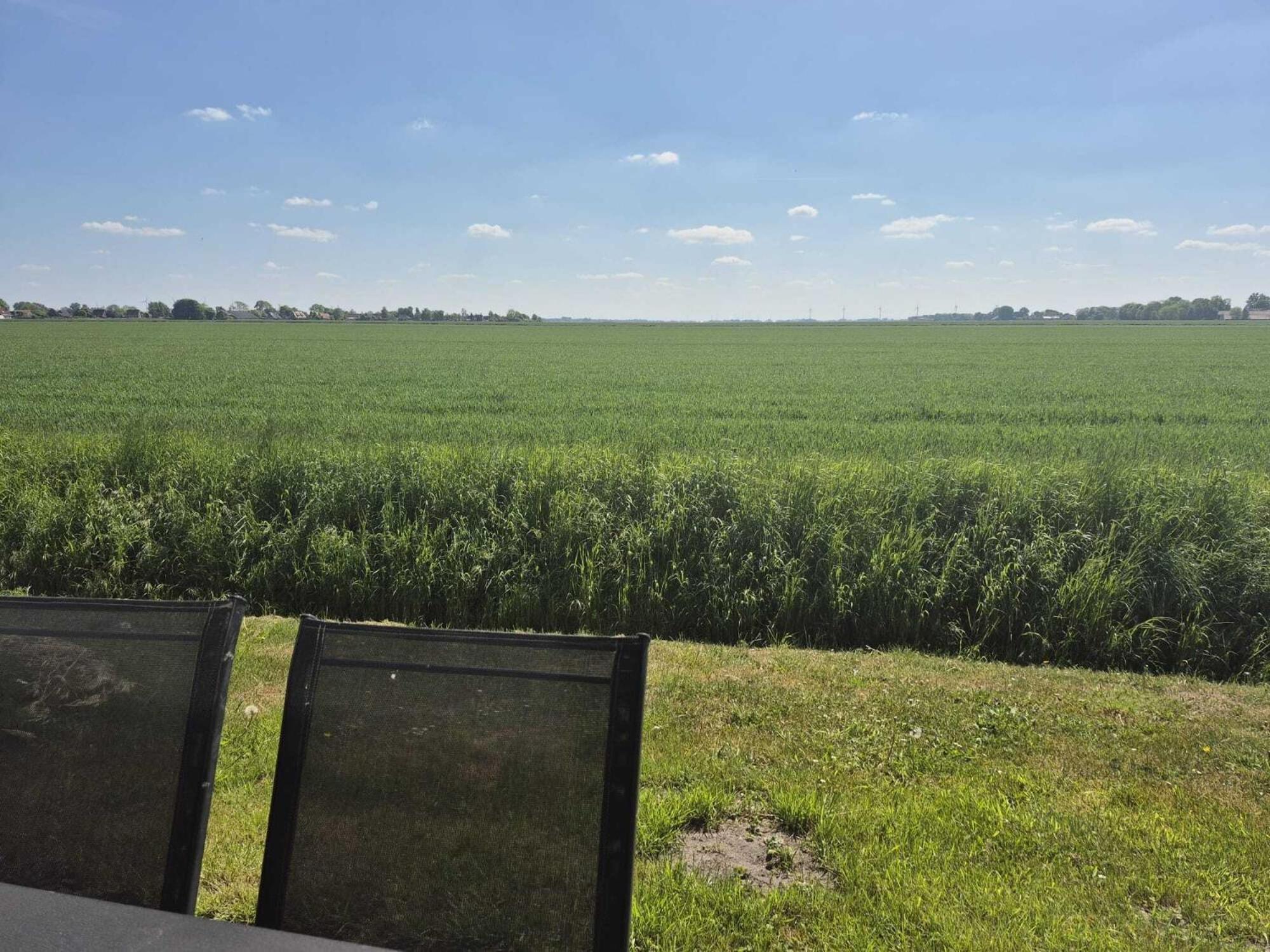 Ferienhaeuser Freiblick Ditzumerverlaat Esterno foto